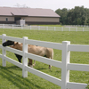 European Style Architecture Iron Steel Farm Fence 