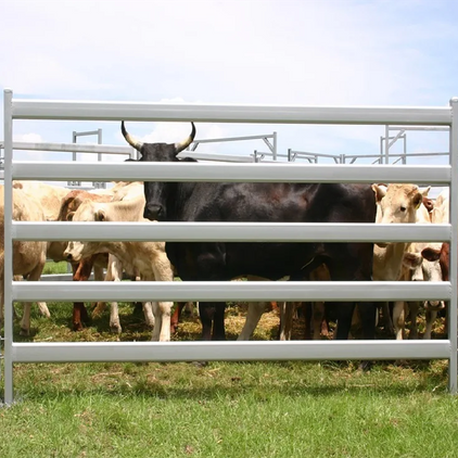 Farm Fence